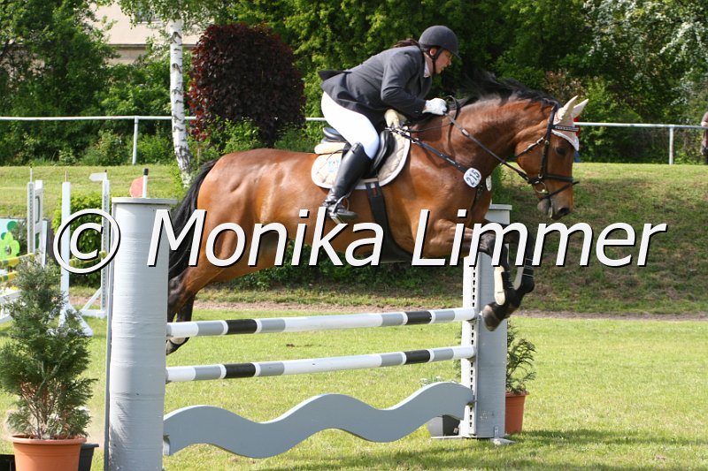 204M1401_Love Story_Spring_Ax.JPG